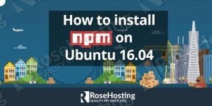 install npm on linux