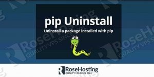 pip update package