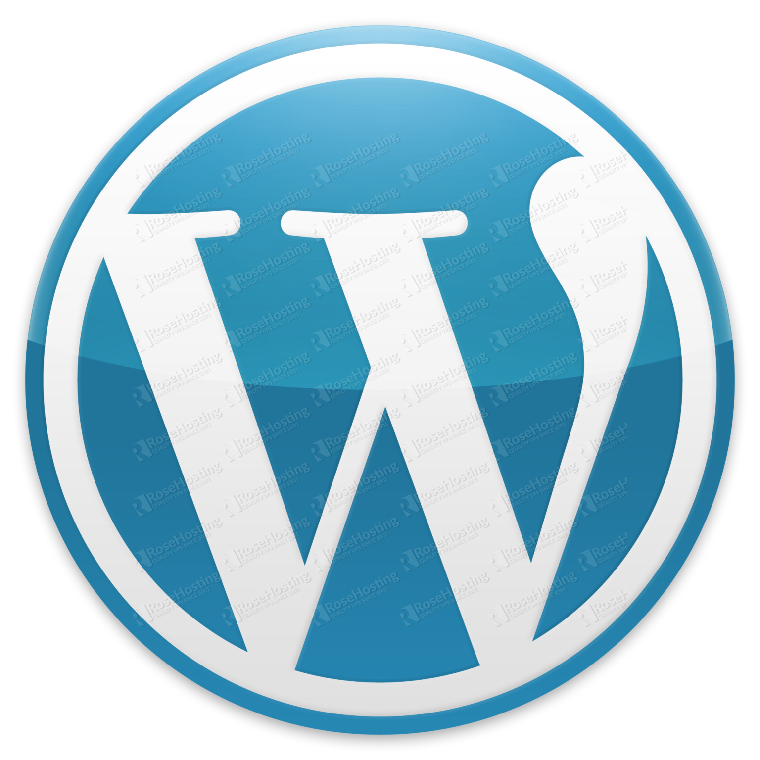 how-to-improve-the-speed-and-rank-of-a-wordpress-website-rosehosting