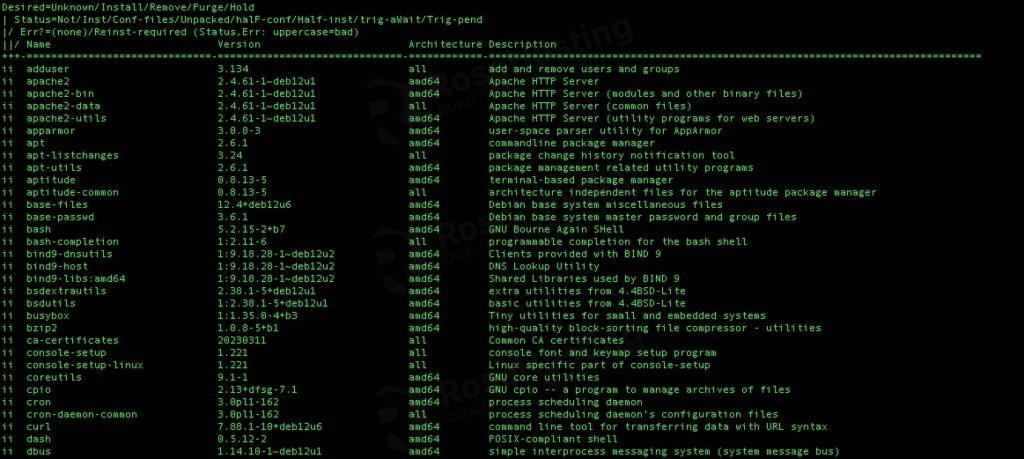 Debian package manager installation