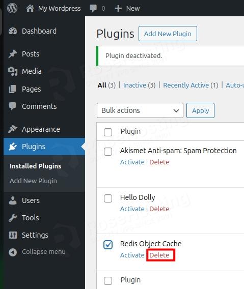 Delete Redis Object Cache plugin